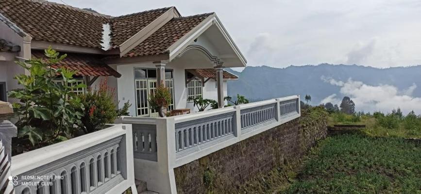 Good Karma Bromo Guesthouse Kültér fotó