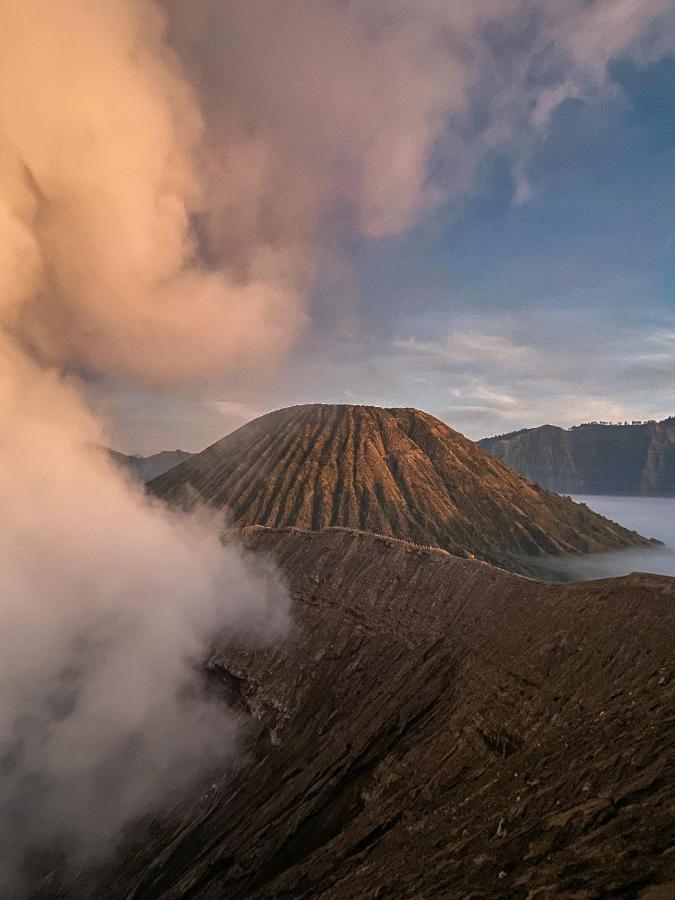 Good Karma Bromo Guesthouse Kültér fotó