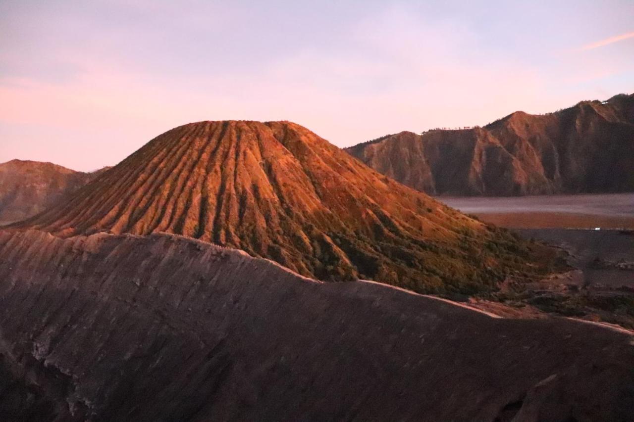 Good Karma Bromo Guesthouse Kültér fotó
