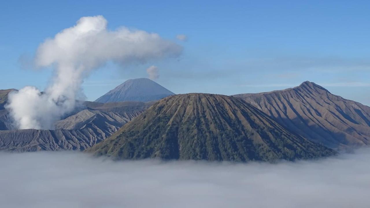 Good Karma Bromo Guesthouse Kültér fotó